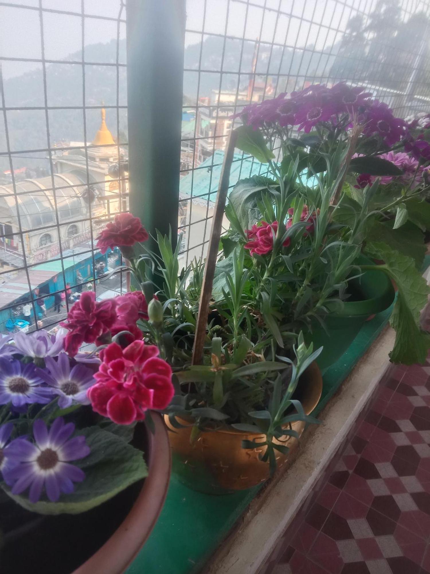 Beverly Hills Home Stay Darjeeling  Ngoại thất bức ảnh