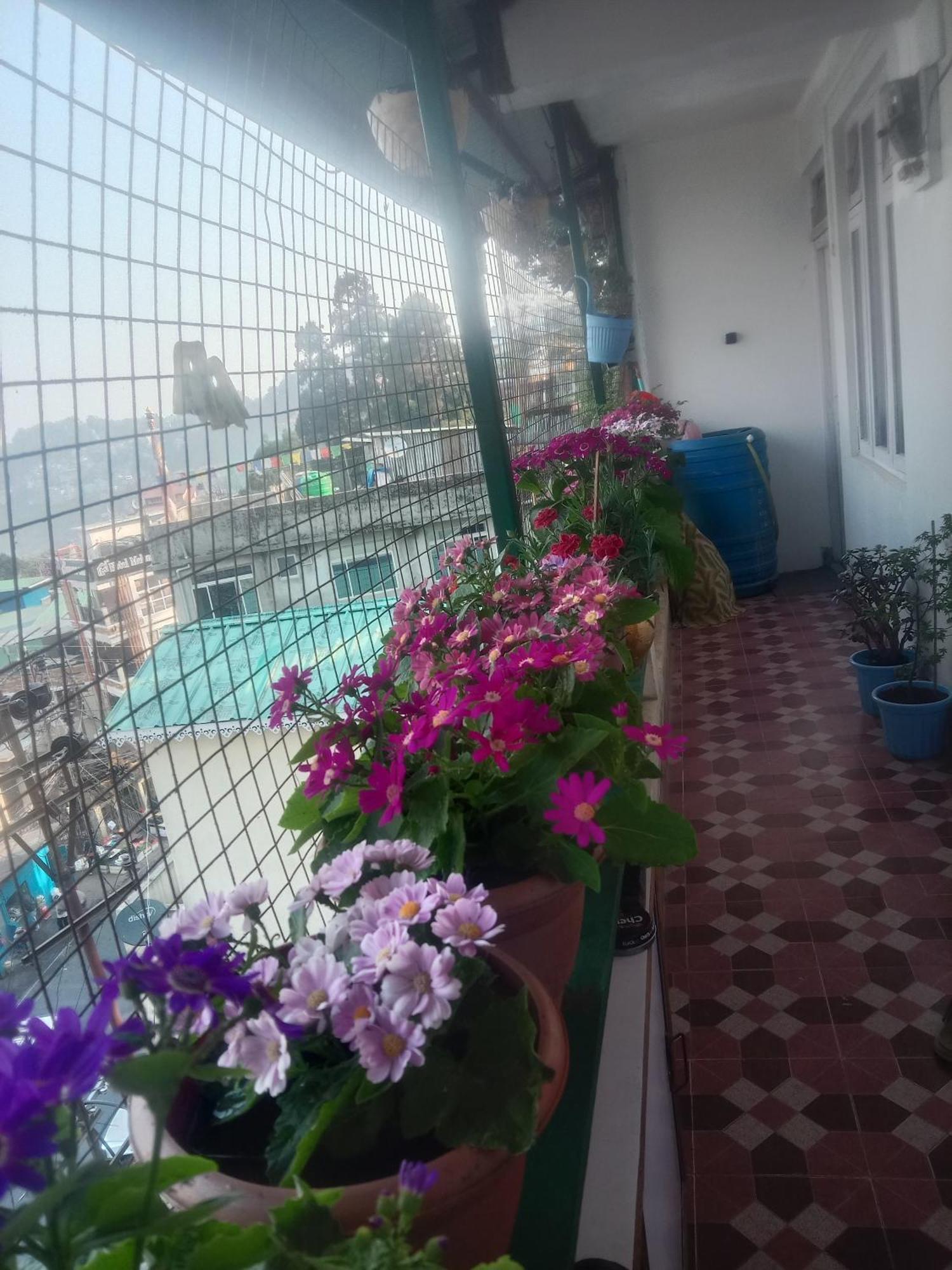 Beverly Hills Home Stay Darjeeling  Ngoại thất bức ảnh
