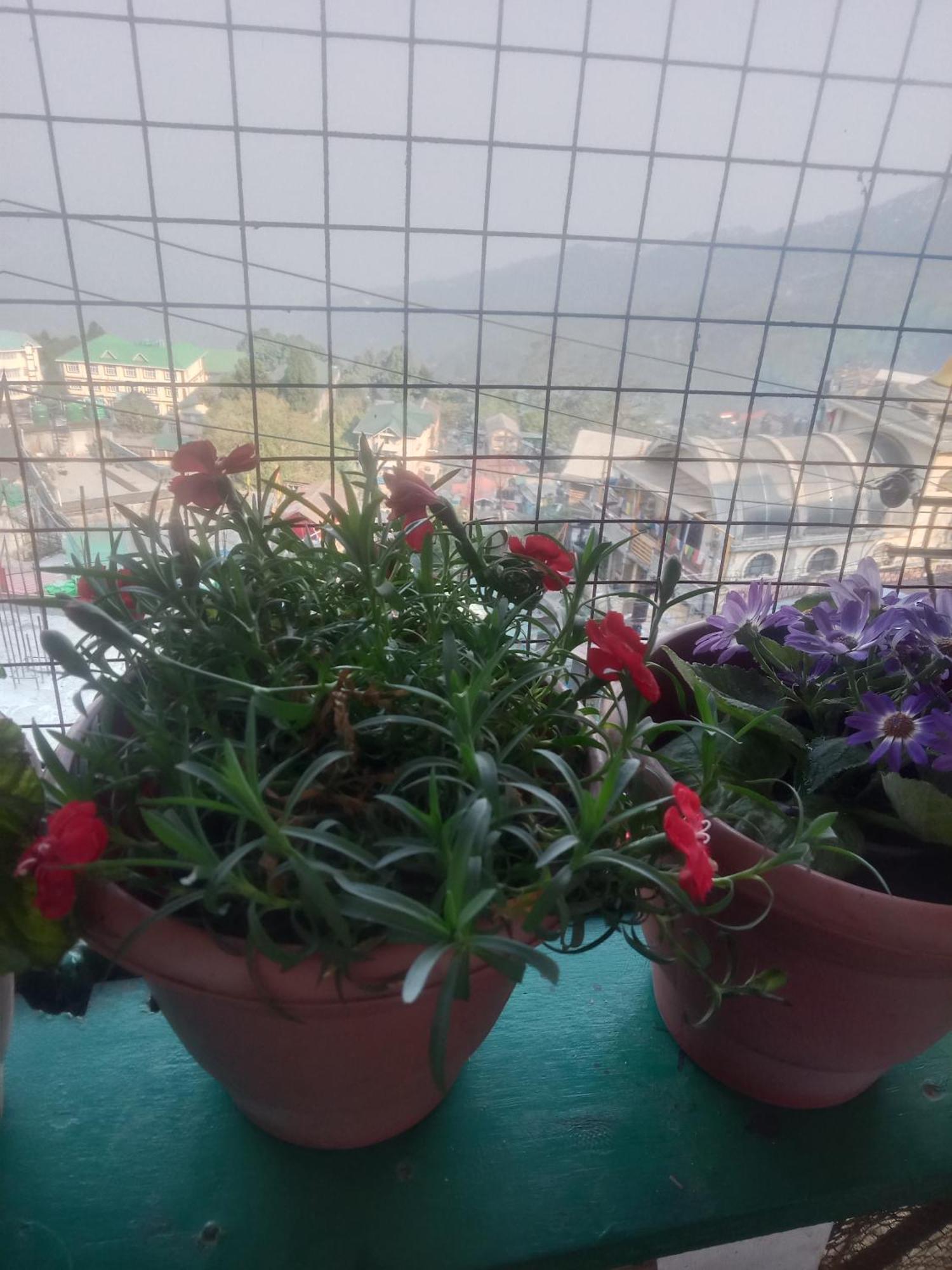 Beverly Hills Home Stay Darjeeling  Ngoại thất bức ảnh